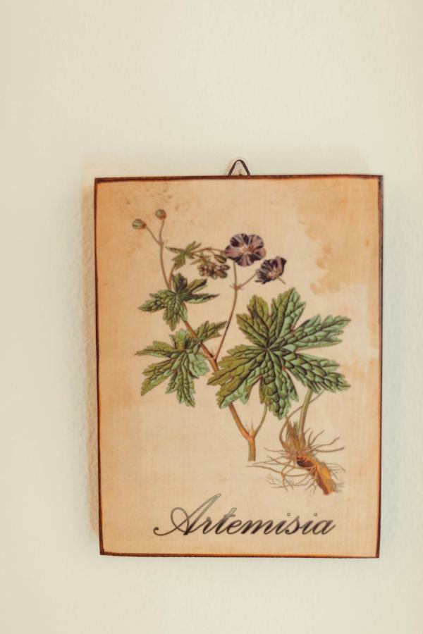 B&B Artemisia Alghero Ngoại thất bức ảnh